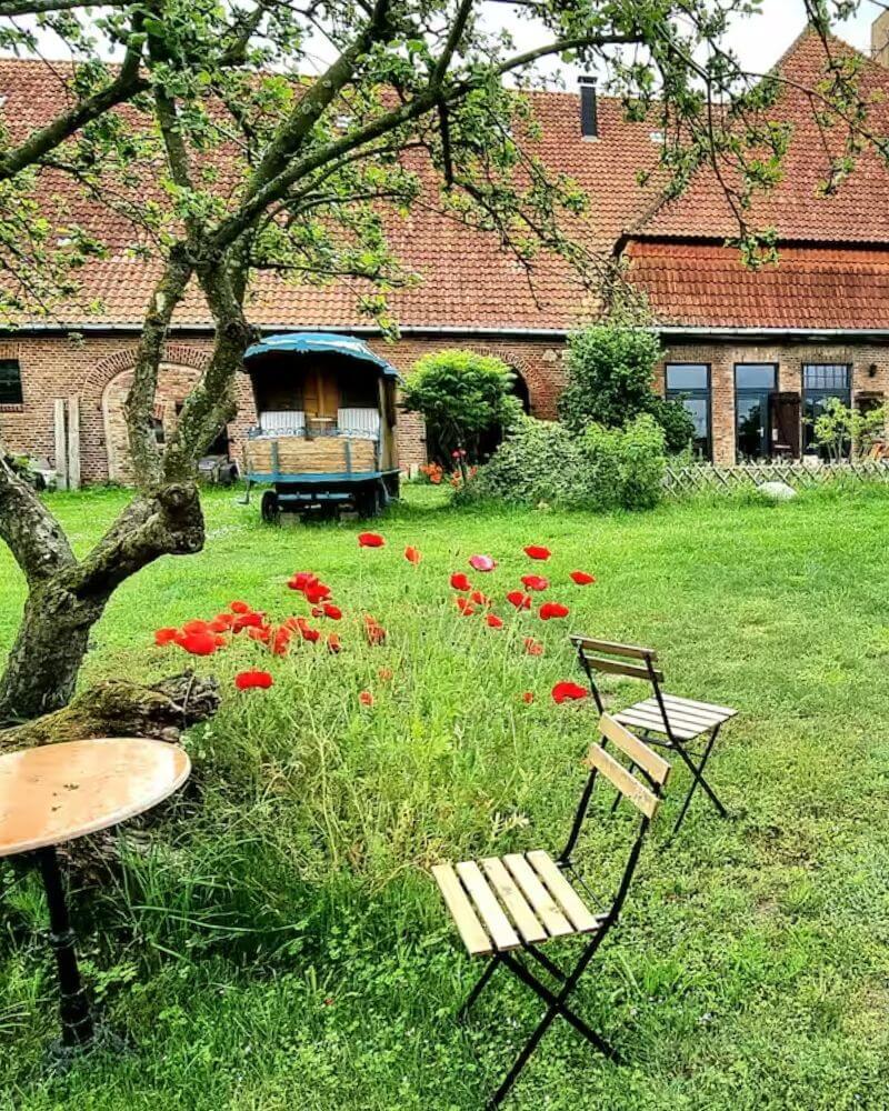 Großer Garten des Scheunenlofts Usedom mit Apfelbaum, roten Mohnblumen und nostalgischem Bauwagen